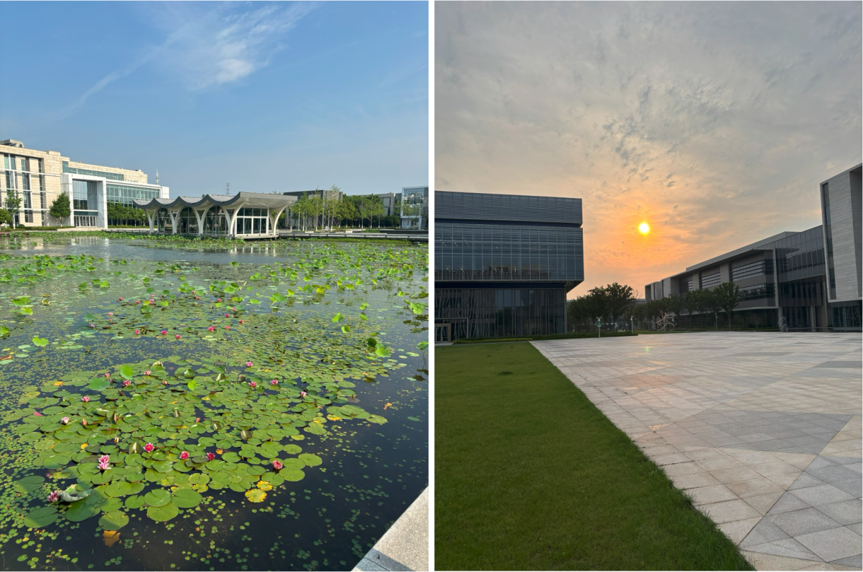 photographs of a lotus pond (left) and a sunset (right) on DKU campus